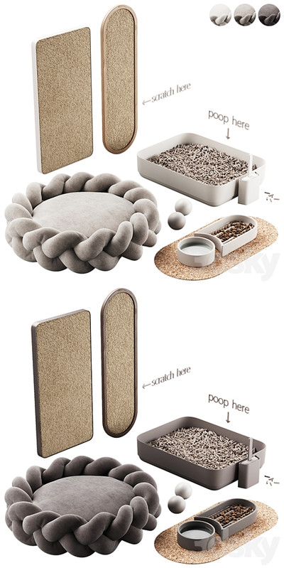 448 pets accessories 01 equipment for cats and dogs P1